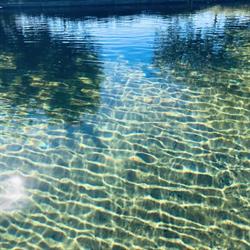 Agriturismo Tenuta La Pergola, Bardolino orari di apertura