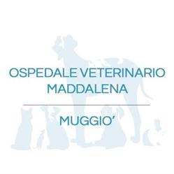 Clinica Veterinaria Maddalena, Muggiò orari di apertura