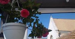 B&b Il Nido delle Rondini, Conversano orari di apertura