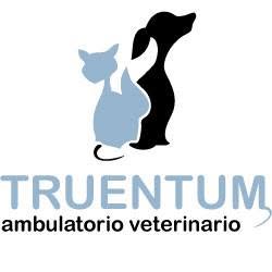 Ambulatorio Veterinario "Truentum", Martinsicuro orari di apertura