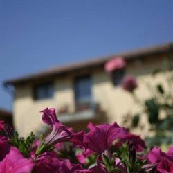 Komote, Arezzo orari di apertura