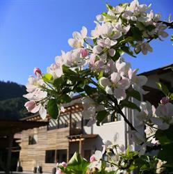 Obermoarhof, Albes orari di apertura