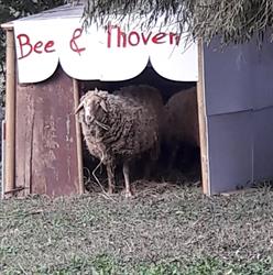 La Bordeghina, Pontecchio Polesine orari di apertura