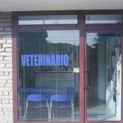 Ambulatorio veterinario dott. Emiliano Costamagna, Cherasco orari di apertura
