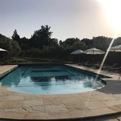 Agriturismo La Limonaia, Mondavio orari di apertura