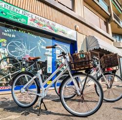 Green Bike Mania, Firenze orari di apertura