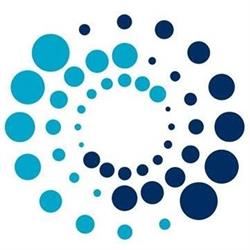 Network One S.r.l., Latina orari di apertura