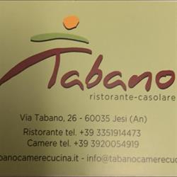 Tabano B&B, Jesi orari di apertura