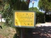 Agriturismo il Quadrifoglio, Orbetello orari di apertura
