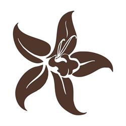 Vanilla la Boutique dei Golosi, Potenza orari di apertura