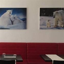 Ristorante Pizzeria Orso Bianco Giassai, Lissone orari di apertura