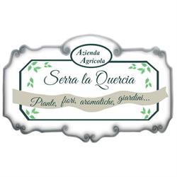 Serra La Quercia, Lastra a Signa orari di apertura