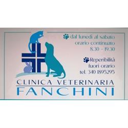 Clinica Veterinaria Dr. Fanchini, Borgomanero orari di apertura