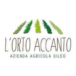 L'Orto Accanto - Azienda Agricola Dileo, Altamura orari di apertura