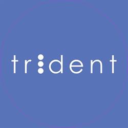 Trident Srl, Castenedolo orari di apertura