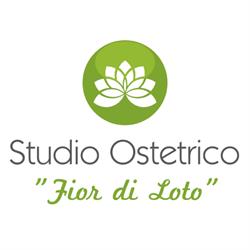 Studio Ostetrico "Fior di Loto", San Giovanni Lupatoto orari di apertura
