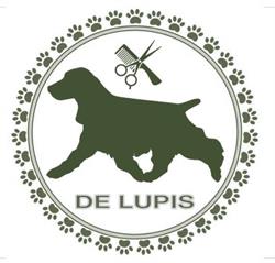 DE LUPIS toelettatura & shop, Saluzzo orari di apertura