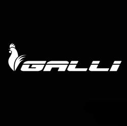 GALLI BIKE Bike Shop di Galli, Ghedi orari di apertura