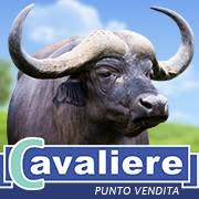 Caseificio Cavaliere, Gricignano di Aversa orari di apertura