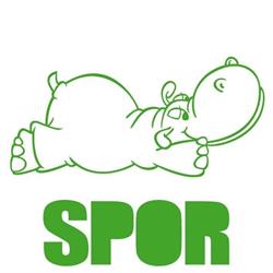 L'Ippopotamo - Spormaggiore, orari di apertura