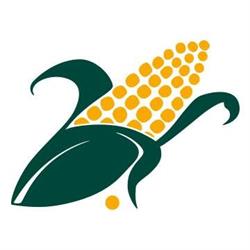 Paviotti Srl, Tiezzo orari di apertura