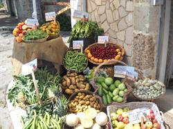 Delizie della campagna di natura biologica, negozio bio Bari Palese, orari di apertura