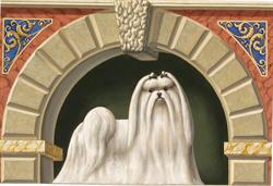 Allevamento dei Prati Verdi, Bagnolo San Vito orari di apertura