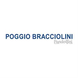 Poggio Bracciolini Casa d'Aste, Firenze orari di apertura