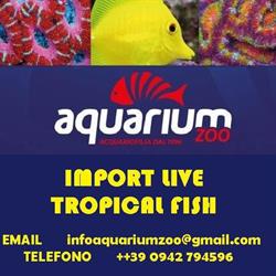 Aquarium Zoo, Furci Siculo orari di apertura