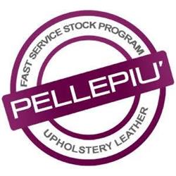 Pellepiù S.r.l., Cologna Veneta orari di apertura