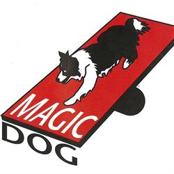 Centro Cinofilo Magic Dog ASD, Cinisello Balsamo orari di apertura