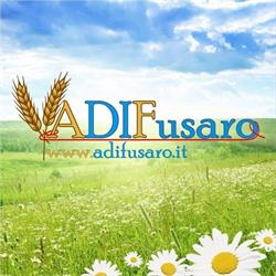 ADIFusaro, Bacoli orari di apertura