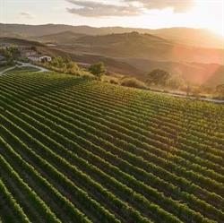 Podere San Giacomo Montalcino, orari di apertura