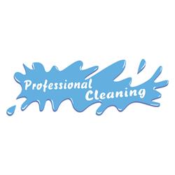 Professional Cleaning di Vincenzo Triveri, Parabiago orari di apertura