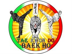 ASD Taekwondo Baek Ho - Cesenatico, orari di apertura