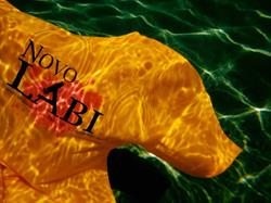 Laboratorio Analisi e Consulenze Novolabi s.a.s., San Piero Patti orari di apertura