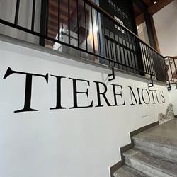 Museo "Tiere Motus", Venzone orari di apertura