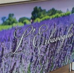 ERBORISTERIA L'ERBAVOGLIO, Terralba orari di apertura