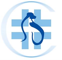 Centro Veterinario San Lorenzo Snc Di Casagrande M. E Caponnetto S., Montevarchi orari di apertura