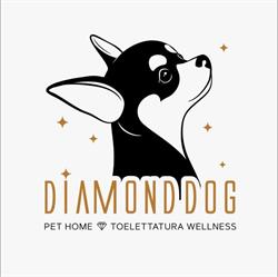 Diamond Dog, Villongo orari di apertura