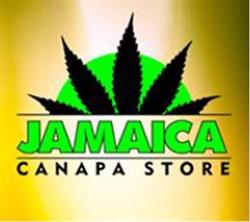 JAMAICA CANAPA STORE S.R.L., Bologna orari di apertura