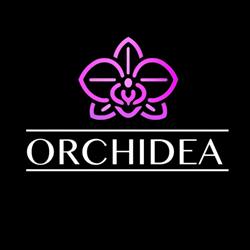 Orchidea Dancing Club Asd, Saronno orari di apertura