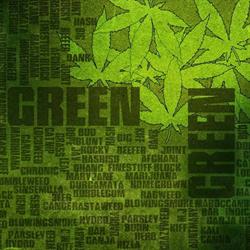 All Green Growshop, Jesi orari di apertura