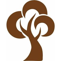 Cartolibreria Albero Di Carta, Fossò orari di apertura