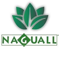 Verde Voglio Sas, Castegnero orari di apertura