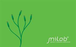 MILOB.IT di Bellesia Milo, Rio Saliceto orari di apertura