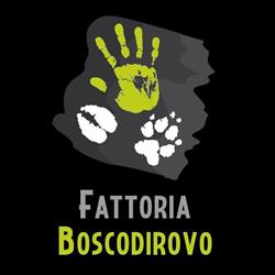 Fattoria Boscodirovo, Serravalle Pistoiese orari di apertura