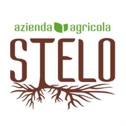 Azienda Agricola Stelo, Vetralla orari di apertura
