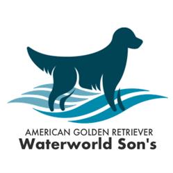 Allevamento Golden Retriever Americano Waterworld Son's, Vaglia orari di apertura