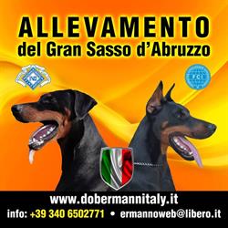 Allevamento del Gran Sasso d'Abruzzo - Dobermann Italy, Pescara orari di apertura